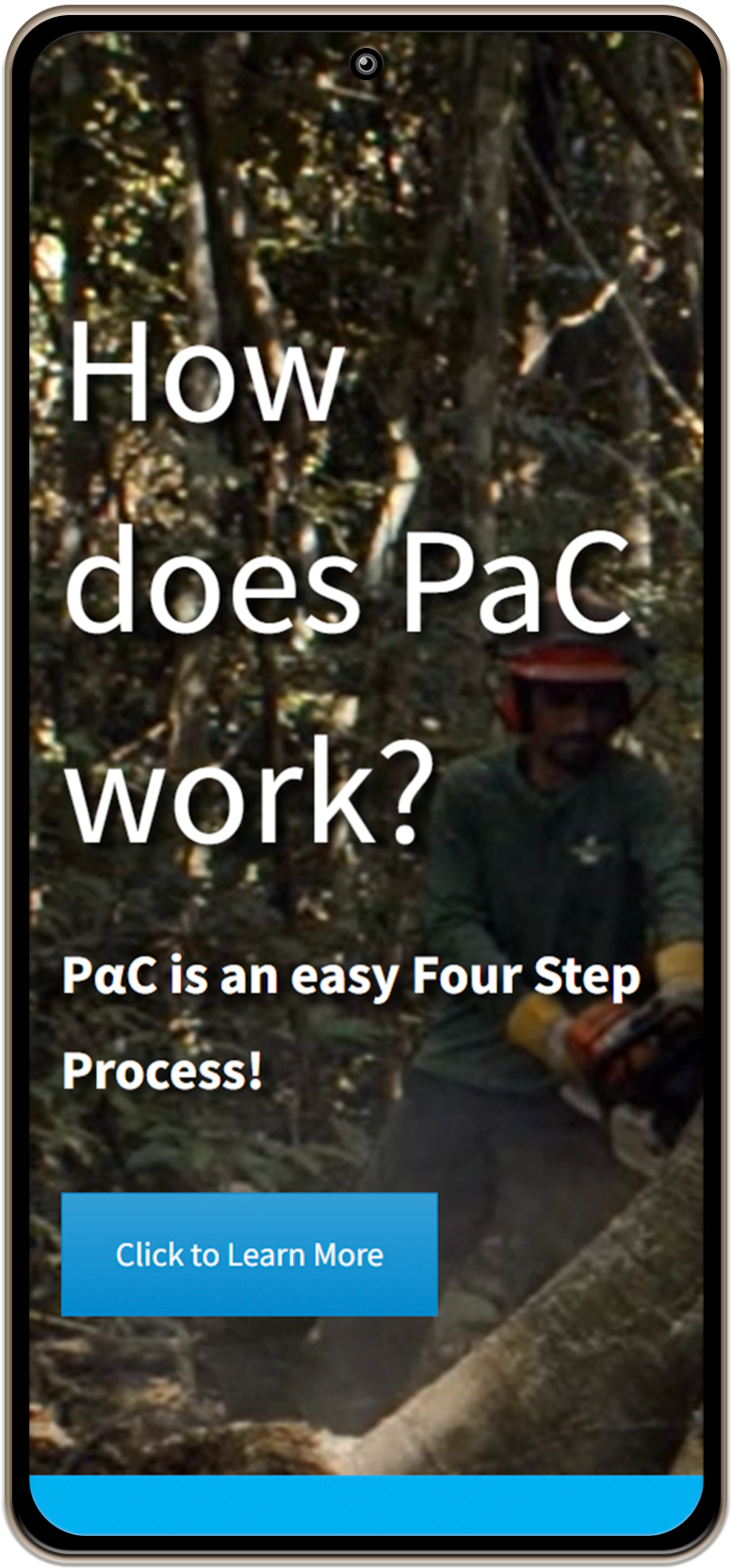 Sauhadra Consultancy planet-alpha