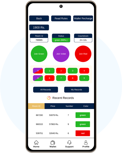 Sauhadra Consultancy Color Game Development